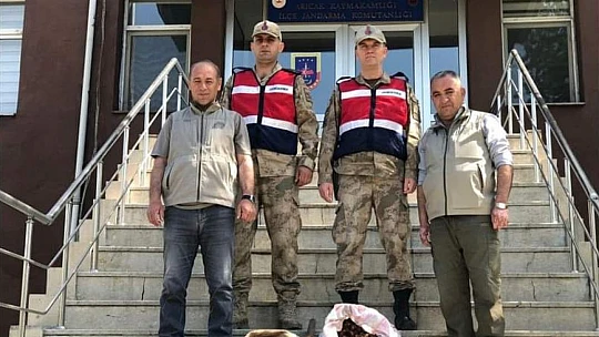 Salep soğanı toplayan 8 kişiye 872 bin lira ceza