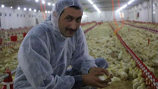 Şehir hayatından sıkıldı, devletten aldığı destek ile köye dönüp çiftlik kurdu