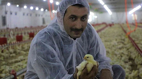 Şehir hayatından sıkıldı, devletten aldığı destek ile köye dönüp çiftlik kurdu