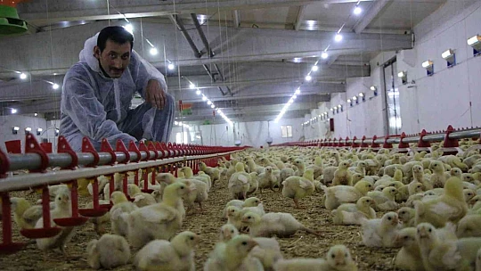 Şehir hayatından sıkıldı, devletten aldığı destek ile köye dönüp çiftlik kurdu