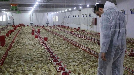 Şehir hayatından sıkıldı, devletten aldığı destek ile köye dönüp çiftlik kurdu