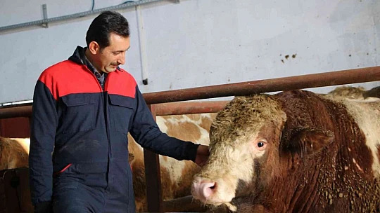 Şehir hayatından sıkıldı, devletten aldığı destek ile köye dönüp çiftlik kurdu