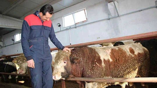 Şehir hayatından sıkıldı, devletten aldığı destek ile köye dönüp çiftlik kurdu