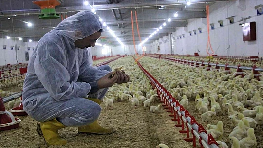 Şehir hayatından sıkıldı, devletten aldığı destek ile köye dönüp çiftlik kurdu