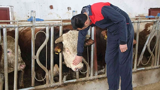 Şehir hayatından sıkıldı, devletten aldığı destek ile köye dönüp çiftlik kurdu