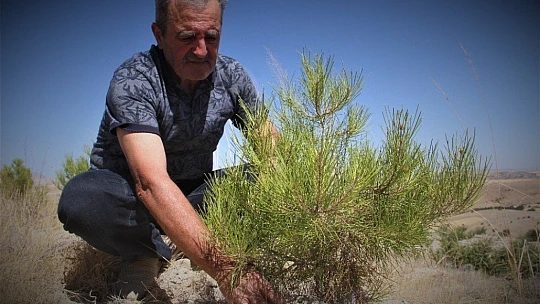 Şehit oğlunun anısına, 2 bin 500 fidanla orman oluşturdu