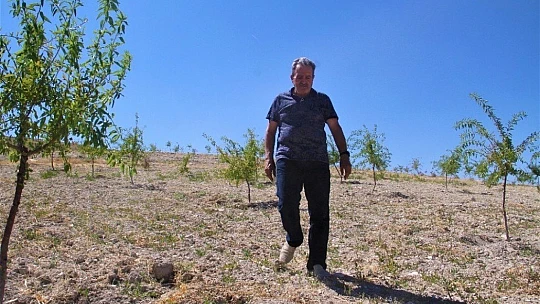Şehit oğlunun anısına, 2 bin 500 fidanla orman oluşturdu