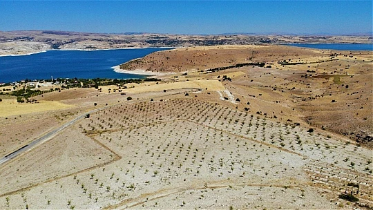 Şehit oğlunun anısına, 2 bin 500 fidanla orman oluşturdu