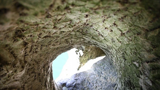 Sular çekilince Hastek Kalesi gün yüzüne çıktı