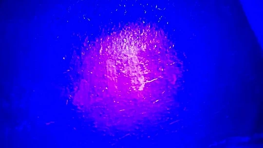 Tablosunun Dali'ye ait olduğunu düşünen şahıs 5 milyon Euro'ya satışa çıkardı