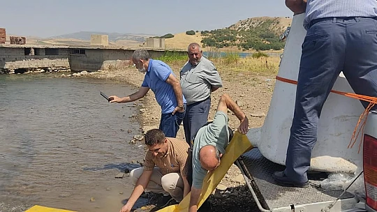 Tatar baraj gölüne 200 bin pullu sazan bırakıldı