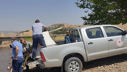 Tatar baraj gölüne 200 bin pullu sazan bırakıldı