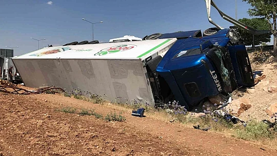 Tavuk yüklü tır şarampole devrildi: 1 yaralı