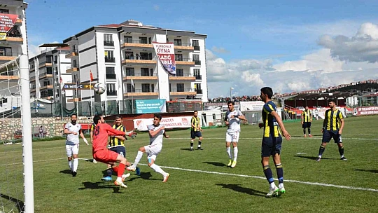 TFF 3. Lig: Elazığspor: 1 - Fatsa Belediyespor: 0