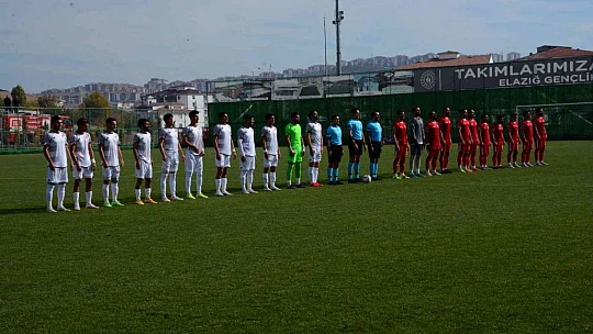 TFF 3. Lig: Elazığspor: 1 - Hendekspor: 1