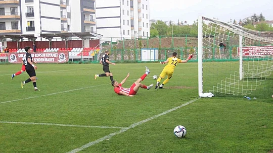 TFF 3. Lig: HD Elazığ Karakoçan FK: 3 - Kuşadasıspor: 2