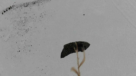Tipi yolu kapattı, jandarma ekipleri hastaya ilacını drone ile ulaştırdı