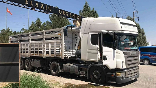 Tır şoförü direksiyon başında ölü bulundu