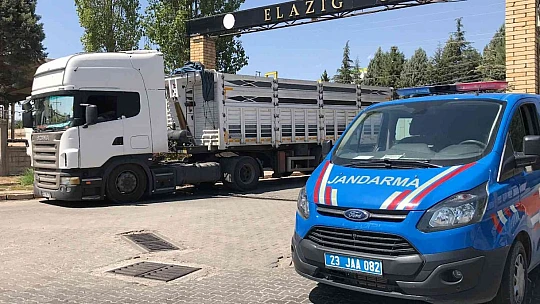 Tır şoförü direksiyon başında ölü bulundu