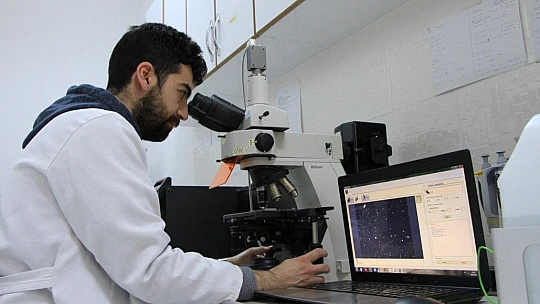 Türkiye'de sperm numunelerini 3 farklı kategoride analiz eden sistem geliştirdi