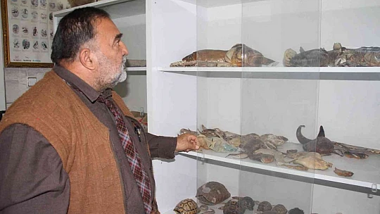 Türkiye iç sularına nasıl girdiği bilinmiyor, kilosuna göre havyarı 20 milyon liraya alıcı buluyor