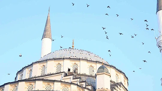 Türkiye'nin ilk asansörlü camisi güvercinleri ağırladı