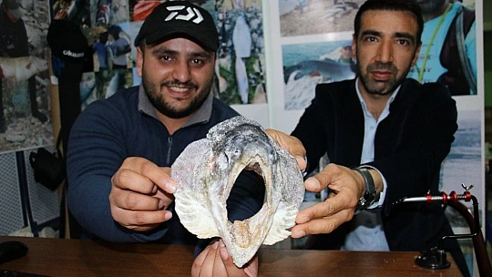 Türkiye ve Avrupa'nın en büyük alabalığı Elazığ'da olta ile yakalandı, tam 115 santim