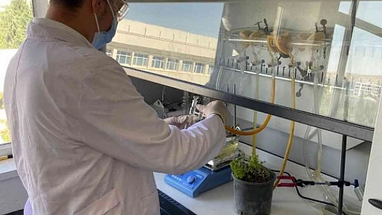 Üniversite öğrencisi doğada çözünerek bitkiye dönüşen plastik üretti