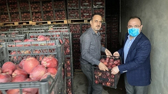 Vali Erkaya Yırık, elma hasadına katıldı