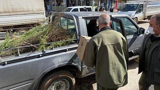 Vurulan kulaklı orman baykuşu bulundu, tedavi altına alındı