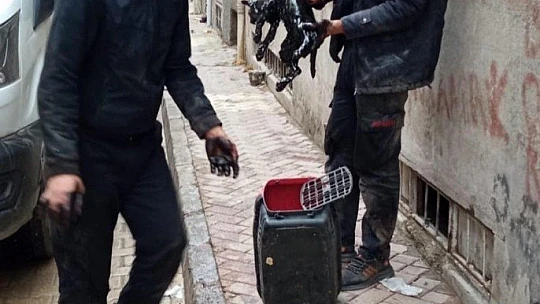 Yakıt tankına düşen kedi kurtarıldı
