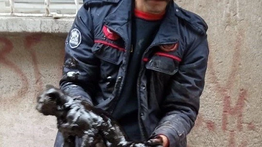 Yakıt tankına düşen kedi kurtarıldı