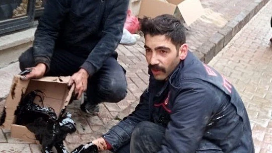 Yakıt tankına düşen kedi kurtarıldı