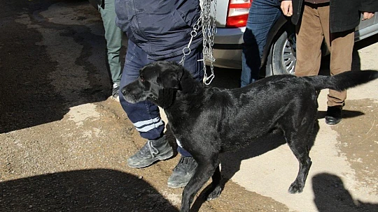 Yaşlı adam evinde ölü bulundu