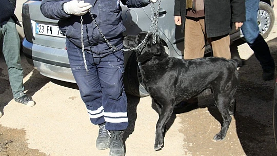 Yaşlı adam evinde ölü bulundu