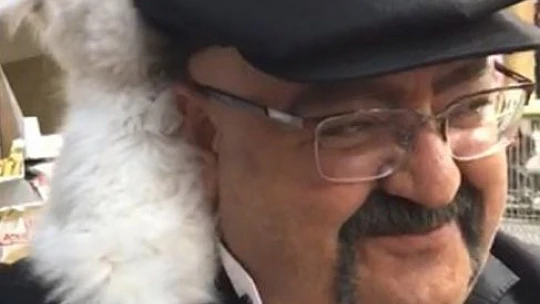 Yavru kedi ile müşterinin sevimli halleri gülümsetti