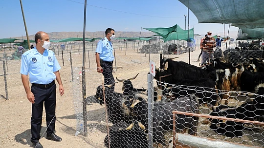 Zabıta Ekipleri Bayram Mesaisine Başladı