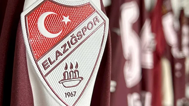 Bir maç seyircisiz oynama cezası
