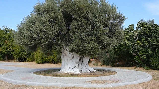 Cumhurbaşkanı Erdoğan'ın eşi Emine Erdoğan'dan dikkat çeken paylaşım