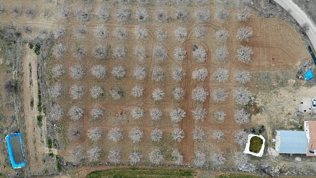 Elazığ'da ağaçlar beyaz gelinliğini giydi, muhteşem görüntü ortaya çıktı