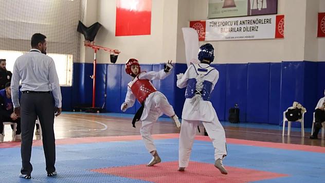 Elazığ'da gençler Taekwondo müsabakaları tamamlandı