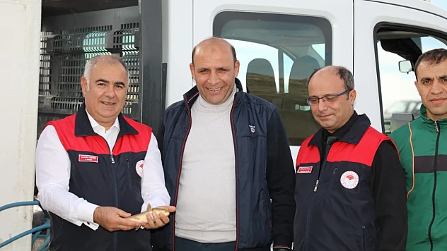 Kalecik Baraj Gölüne sazan bırakıldı