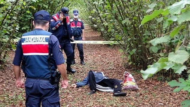 Sumsun'da kayıp şahıs fındık bahçesinde ölü bulundu