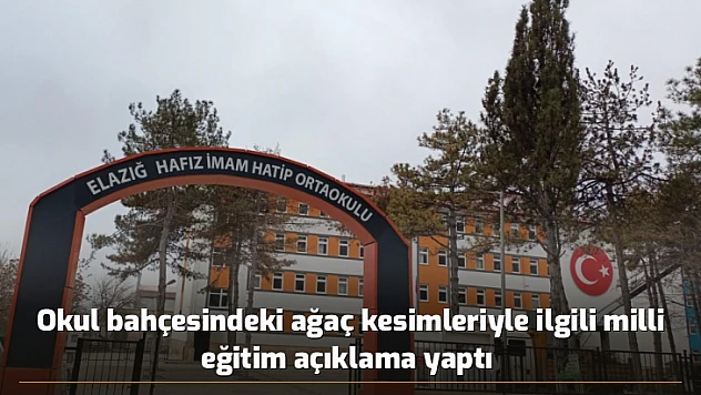 Okul bahçesindeki ağaç kesimleriyle ilgili milli eğitim açıklama yaptı