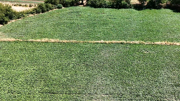 Sivrice İlçesi Dedeyolu Köyü sulama tesisi hizmete açıldı