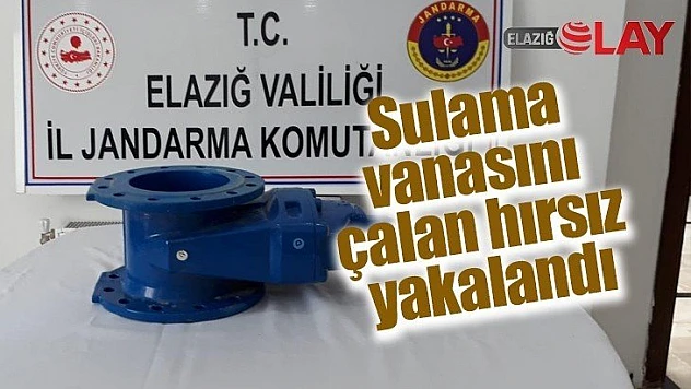 Sulama vanasını çalan hırsız yakalandı
