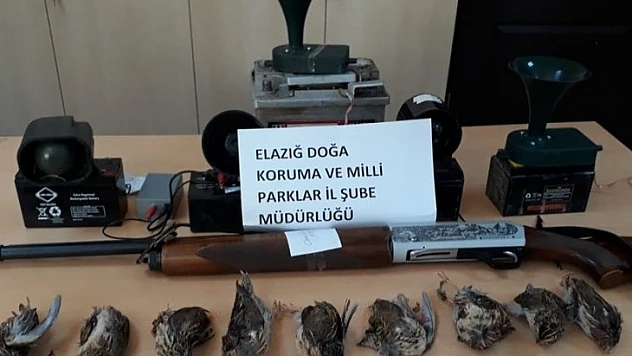 Usulsüz avlanan 2'si yabancı uyruklu 8 şahıs yakalandı