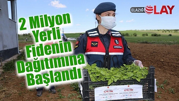 2 Milyon Yerli Fidenin Dağıtımına Başlandı