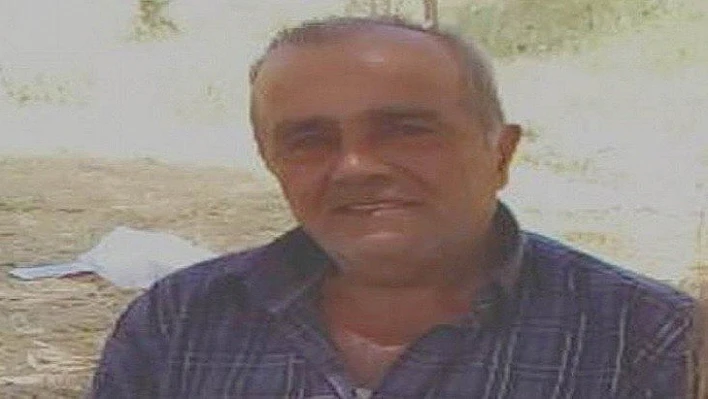 Şırnak'ta arının soktuğu çiftçi hayatını kaybetti