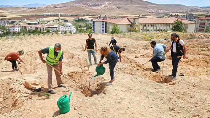 Çevre Koruma Haftası Etkinlikleri Devam Ediyor